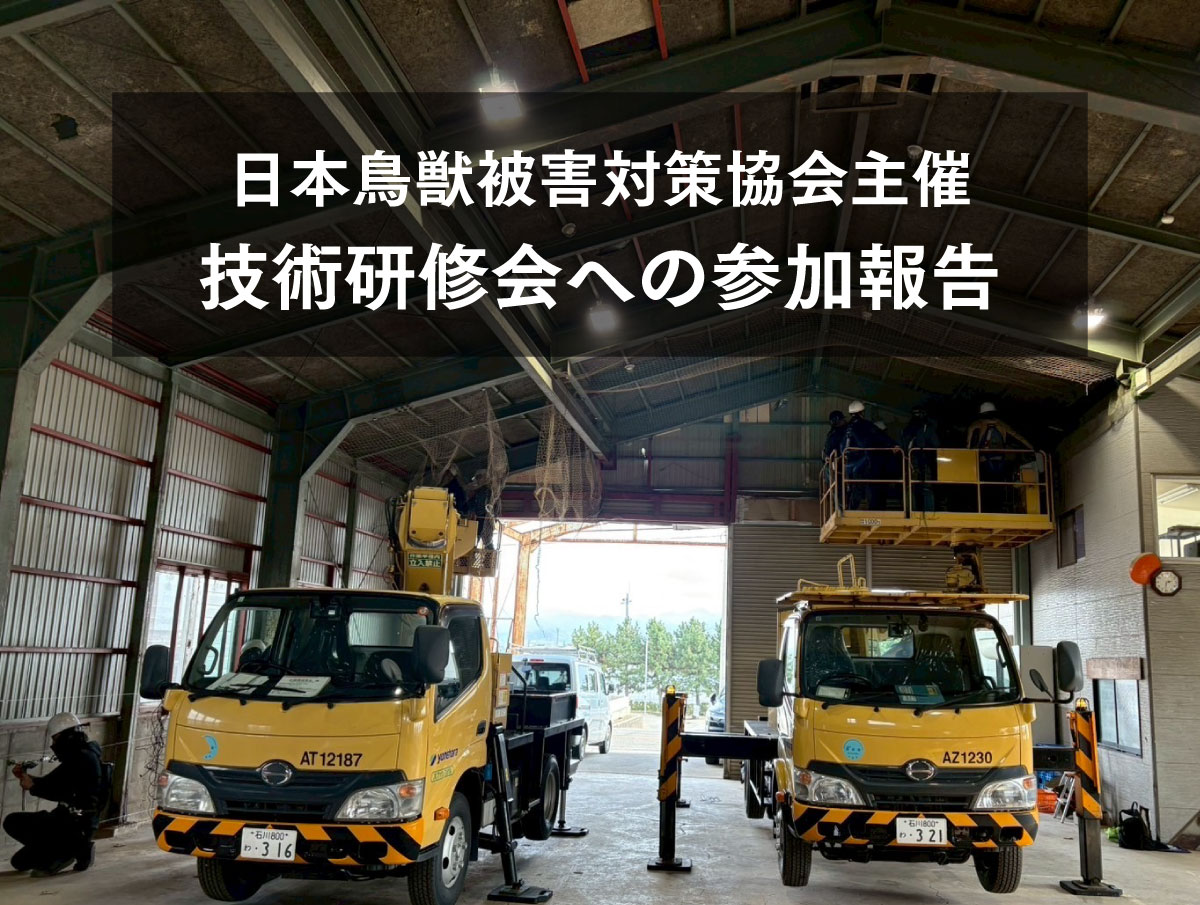 日本鳥獣被害対策協会主催「鳥害対策入門者向け技術研修会」参加報告