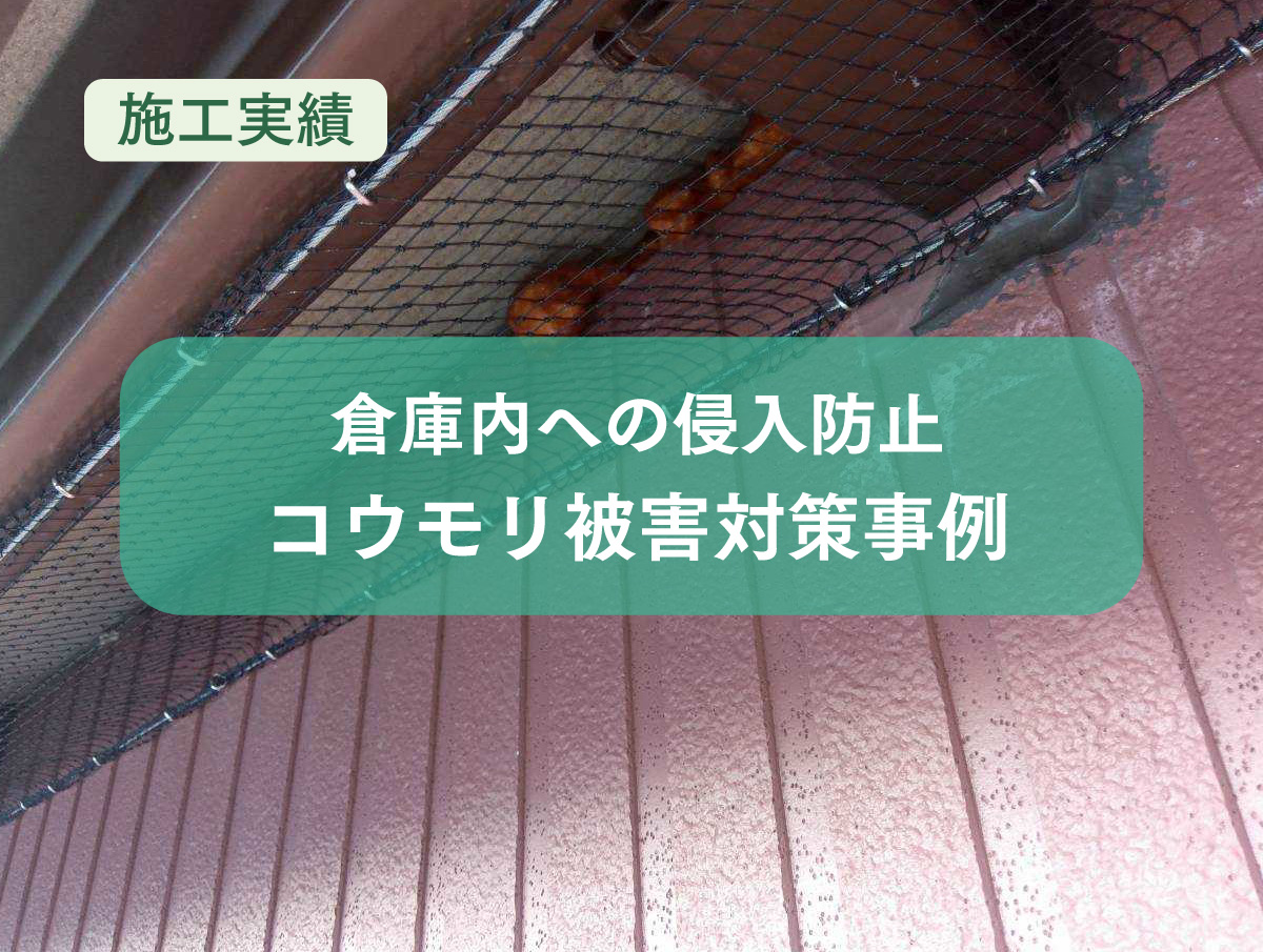 【施工実績】コウモリ被害対策｜倉庫内への侵入防止