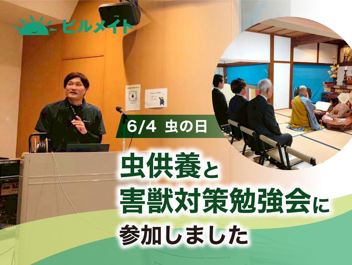 6月4日「虫の日」に虫供養と害獣対策勉強会に参加しました