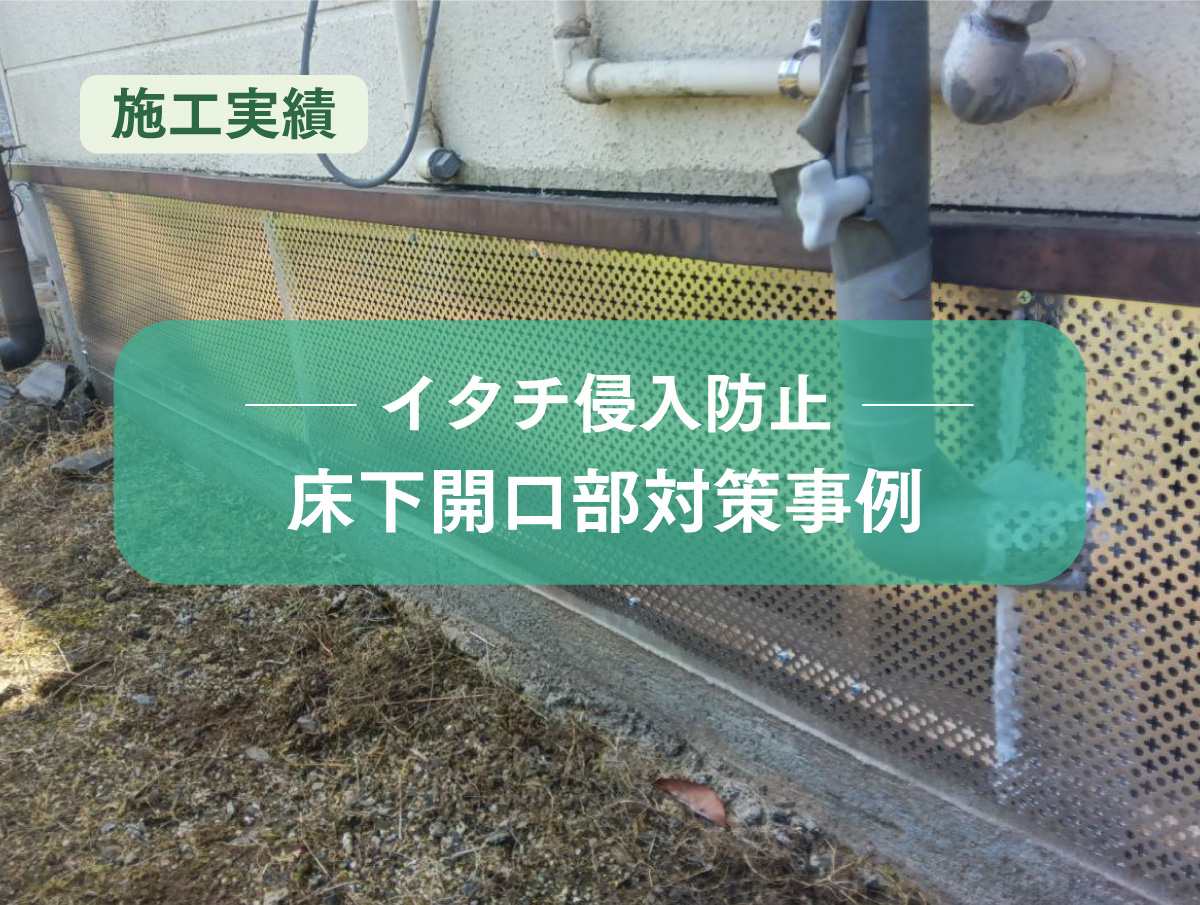 【施工実績】害獣侵入対策事例　戸建て住宅 台所外部の開口部