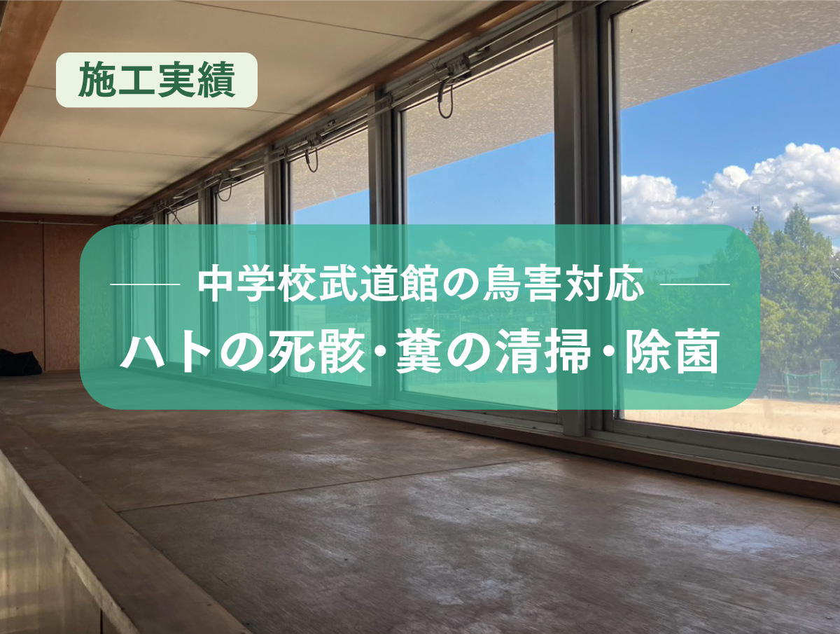 【施工実績】中学校武道館の鳥害対応｜ハトの死骸・糞の清掃・除菌